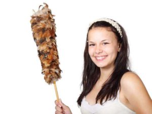 Using a feather duster